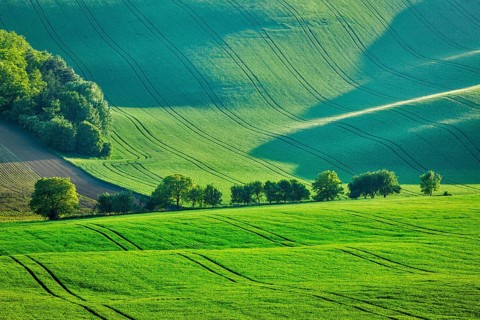 Rolling summer landscape of Moravia, Czech Republic, Europe