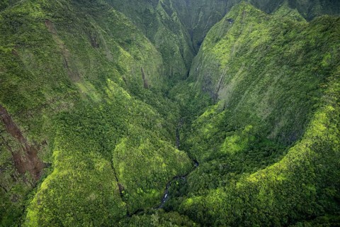 Aerial view Hanalei Valley, Kauai, Hawaii, USA, North America