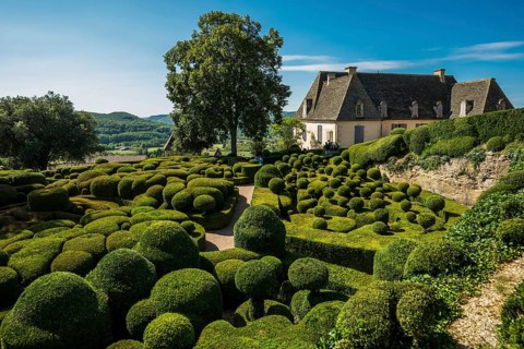 Boxwood garden, Les Jardins de Marqueyssac, Vezac, Dordogne, Périgord, Département Dordogne, Region