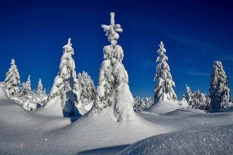 Snowy winter landscape near the Vogelskopf, near Baiersbronn, county Freudenstadt, Black Forest,