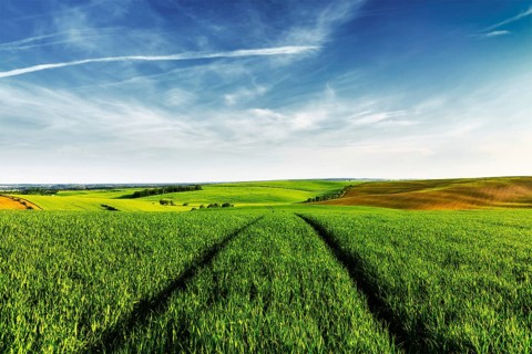 Vintage retro effect filtered hipster style image of Green fields of Moravia with blue sky, Czech