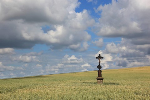 Field cross in a wheat field, near Dukovany, Czech Republic, Grain field with a lonely field cross,