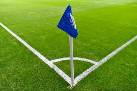 Corner flag with TSG 1899 Hoffenheim logo, turf, PreZero Arena, Sinsheim, Baden-Württemberg,