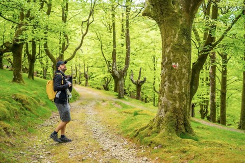 A young father walking with the newborn child in the backpack on a path in the woods heading to the