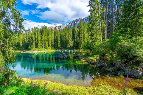 Emerald waters reflecting the majestic latemar peaks and surrounding pine forests under a blue sky