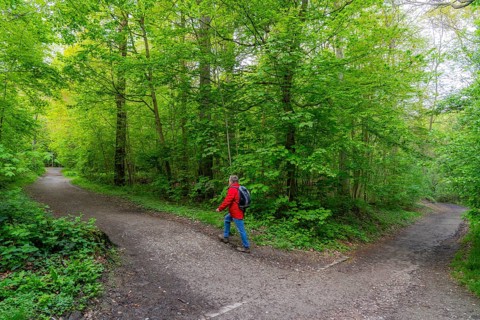 Symbolic image Hiking with smartphone and hiking app, navigation on hiking trails, digital hiking