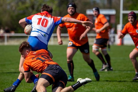 Rugby 1st Bundesliga South/West, Season 2024/25, Matchday 10: RG Heidelberg vs Heidelberger