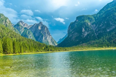 Calm water reflecting majestic mountains and lush forest on a sunny summer day at lake dobbiaco, a