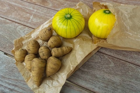 Chaerophyllum bulbosum, chervil turnip, chervil bulb, healthy root, courgette (Cucurbita pepo subsp