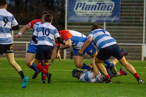 Rugby 1st Bundesliga South/West, season 2024/25, matchday 7 (catch-up match) : Heidelberger