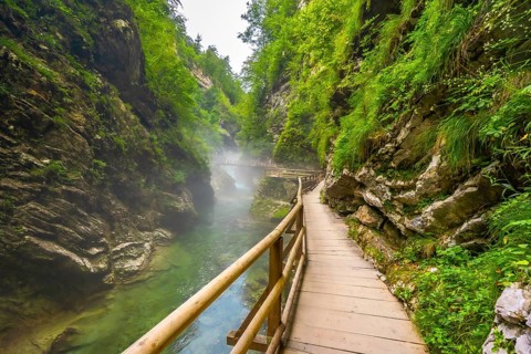 Scenic view of a wooden walkway winding along a stunning emerald river in vintgar gorge near bled,