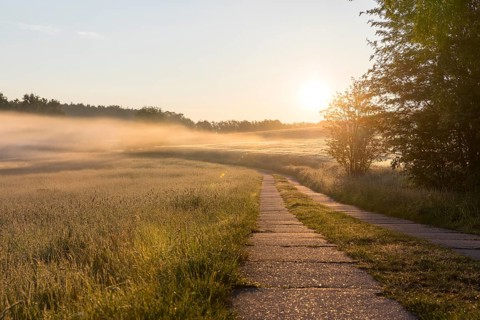Field path between meadows and grain field with morning mist at sunrise, Bischofswerda, Saxony,