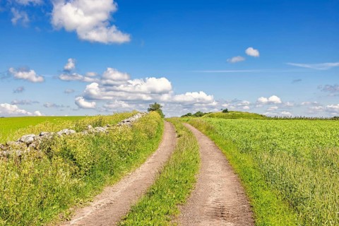 Empty dirt road with a grass shoulder by a stone wall in the countryside with green fields a sunny