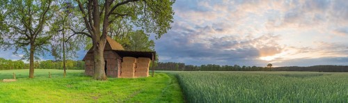 Landscape photo of a grain field with adjacent barn in the evening light, evening mood, landscape