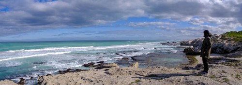 Man standing on the coast watching the sea, De Hoop Nature Reserve, nature reserve near Struisbaai,