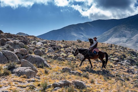 Traditional Kyrgyz eagle hunter in the mountains hunting on horseback, near Kysyl-Suu, Kyrgyzstan,
