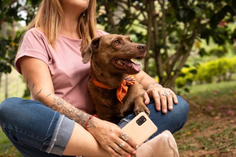 Cute dog with bandana sitting and enjoying with her owner in park