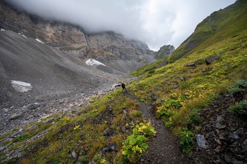A mountaineer on a mountain path with lush green vegetation in foggy weather, hiking trail to