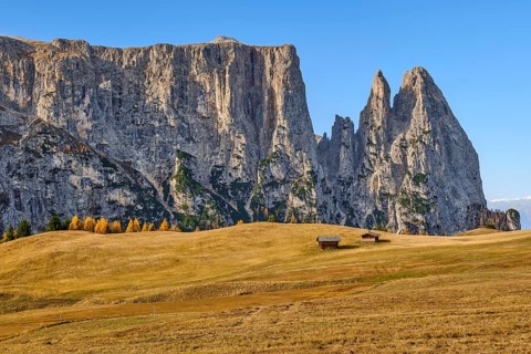 Alpine huts in front of Sciliar in autumn, blue sky, Dolomites, Alpe di Siusi, South Tyrol