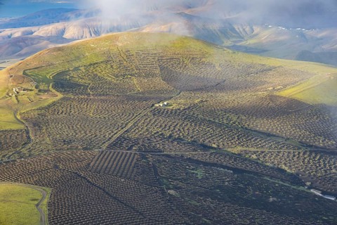 La Geria wine-growing region, Lanzarote, Canary Islands, Spain, Europe