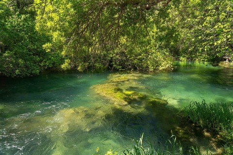 The Krka River in Krka National Park, Croatia, Europe