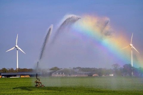 Artificial irrigation of a cereal field in April, with a sprinkler system, long dry spell in spring