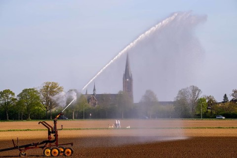 Artificial irrigation of a field, freshly sown, in April, with a sprinkler system, long drought in