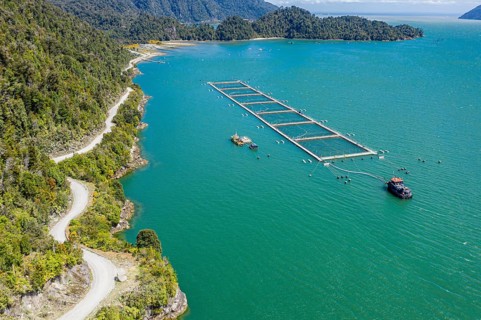 Aerial view of salmon farm in the Reloncavi fjord southeast of Puerto Montt, Chile, South America