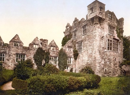 Donegal Castle, a castle (Tower House) in the centre of the town of Donegal in the county of the