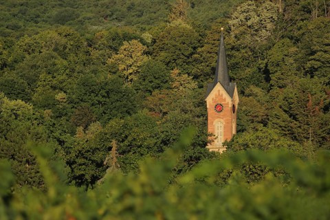 Palatinate Forest with the steeple of the Protestant church built in 1806 in Haardt, Neustadt an
