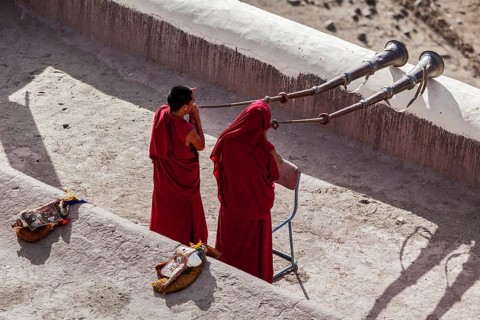 THIKSEY, INDIA, SEPTEMBER 4, 2011: Two Tibetan Buddhist monks blowing Tibetan horn (dungche) during