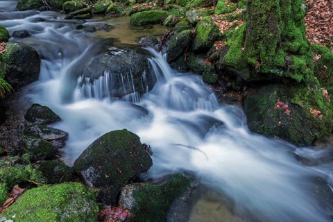 Gertelbach, Gertelbach Waterfalls, Gertelbach Falls, Gertelbach Gorge, Bühl, Bühlertal, Northern