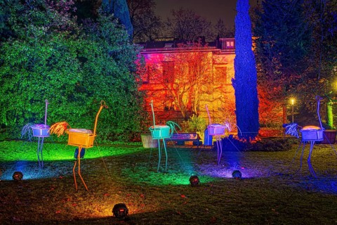 From 9 December 2023 to 14 January 2024, the Palmengarten in Frankfurt am Main will host the Winter