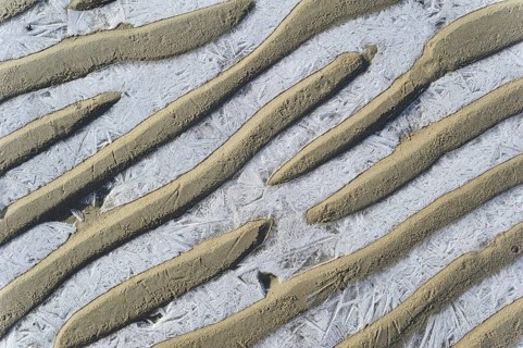 Pattern of sand ripples and ice on the beach during frost in winter, the Netherlands