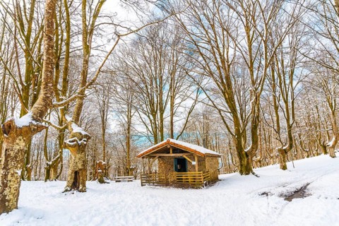 The refuge next to trees in the snow-covered Oianleku Natural Park in the town of Oiartzun, next to