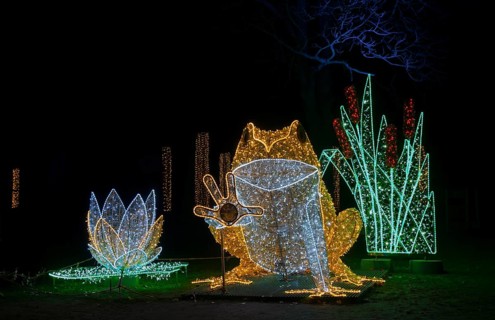Le Frog, glowing frog, world of lights, municipal park, Magdeburg, most extensive Christmas and