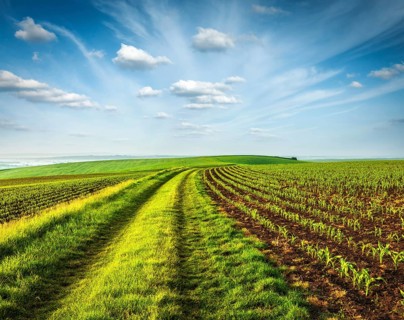 Rolling fields of Moravia, Czech Republic, Europe