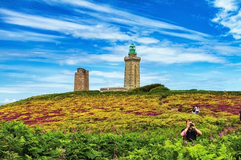 Flowering, colourful moorland, walkers on footpath to lighthouse, Cap Fréhel in summer, Emerald