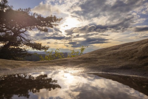View from the Carolafelsen the sky is reflected in a puddle, Bad Schandau, Saxony, Germany, Europe