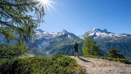 Mountaineer on hiking trail, mountain panorama with glaciated mountain peaks, Aiguille Verte, hike