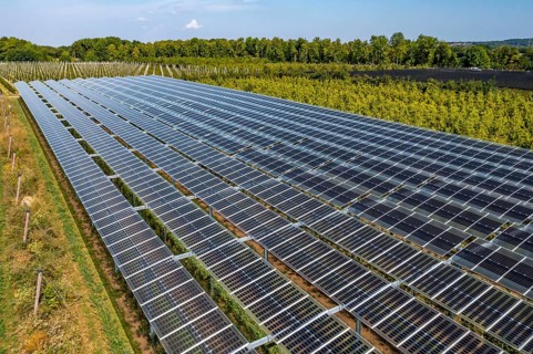 Agri-photovoltaic test plant, an apple orchard with two different systems of PV modules was roofed