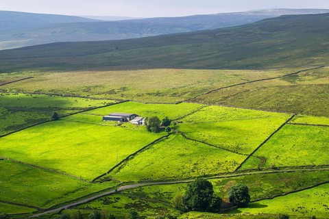 Farms over North Pennines, Cumbria, Durham, Northumberland, North Yorkshire, England, United