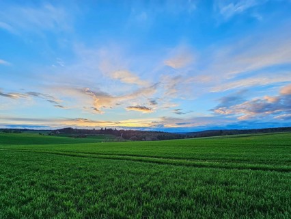 Wide green field under a blue sky with clouds during sunset, Mönchberg, Mltenberg, Spessart,