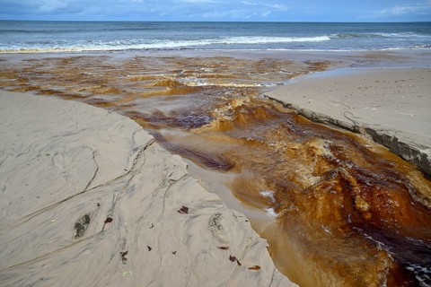 Tannic water from the Congo Basin flows into the sea, Petit Loango, Loango National Park, Parc