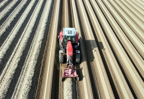 An aerial photo shows a tractor in a large asparagus field. Preparations for the asparagus season.