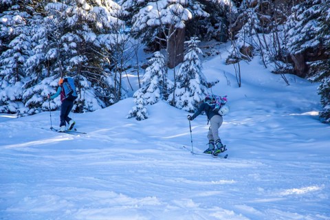 Oberjoch, Bavaria: Ski tourers on the ascent. Ski touring is becoming increasingly popular