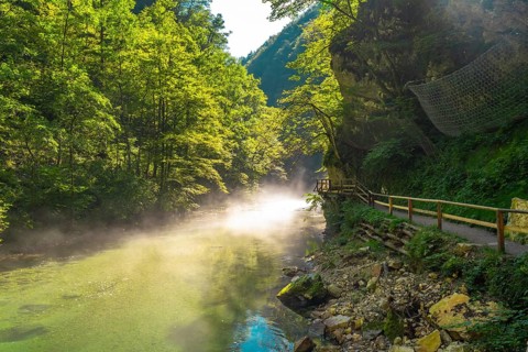 Beams of sunlight shining through morning mist over the clear green waters of radovna river flowing