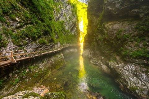 Sunlight illuminates moss covered cliffs and clear water flowing through vintgar gorge near bled,
