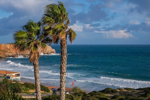 Sagres, Algarve, Portugal - Palm trees on the town beach Praia da Mareta, with the Ponta da Atalaia