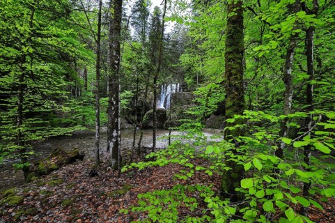 Waterfall at the Steigbach in the Steigbachtobel near Immenstadt in Oberallgäu, Bavaria, Germany,